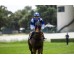 Carrera: P.Marcos Carmena Monta: Sr.Pineda G. Caballo: Gimme Love